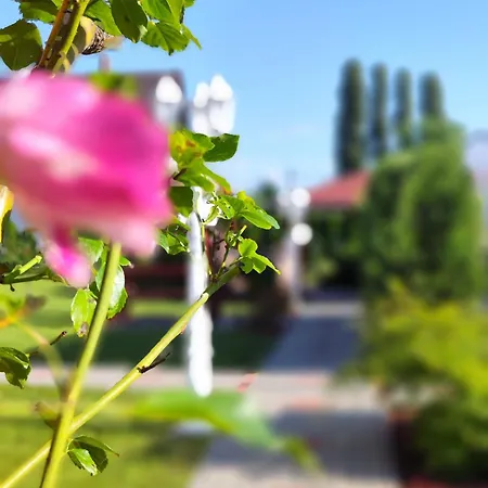 Havasi Ueduelohaz * Gyenesdiás