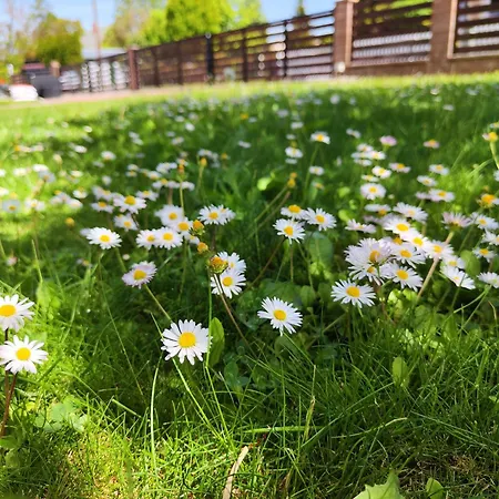 Havasi Ueduelohaz شقة *