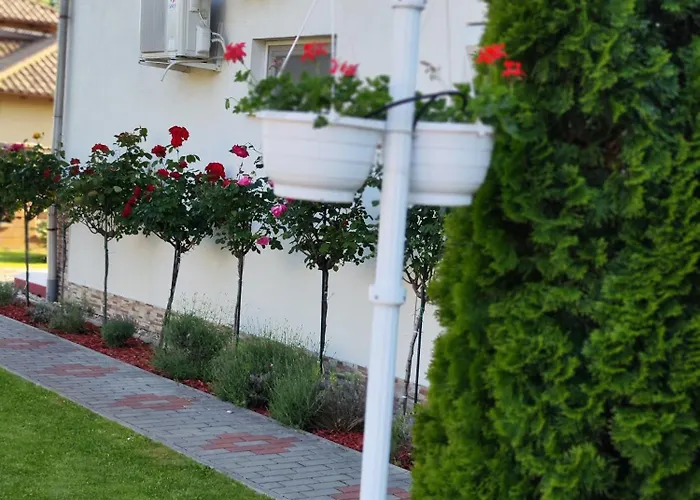 Havasi Ueduelohaz גיינסדיאס