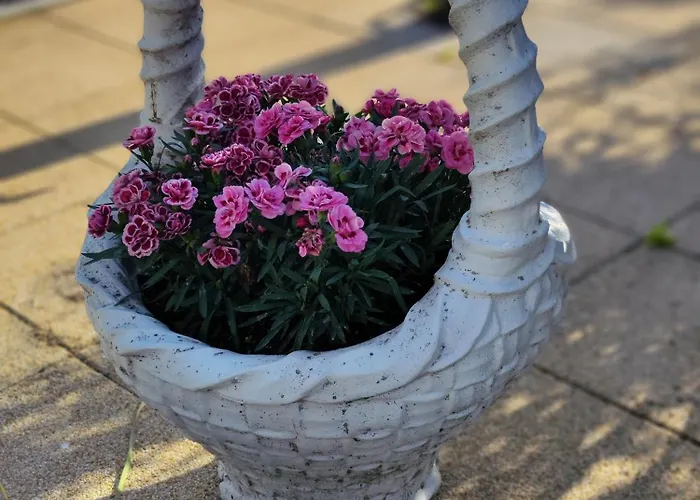 Havasi Ueduelohaz * גיינסדיאס