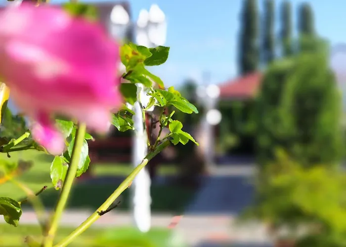 Havasi * Gyenesdiás