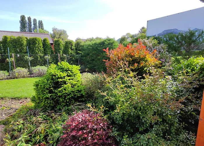 דירה Havasi Ueduelohaz