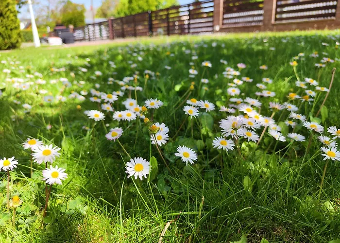 Havasi Apartamento *